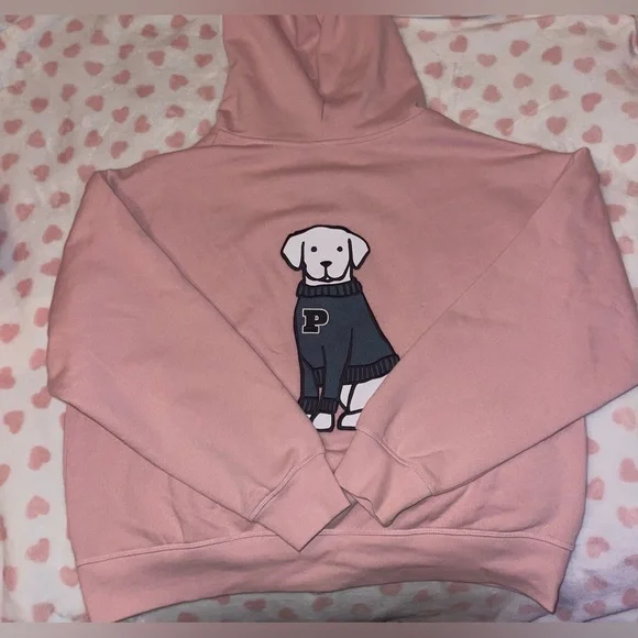 PINK Victoria's Secret Chalk Ross Full Zip Sweatshirt With Dog Embroidered Logo - Picture 4 of 7